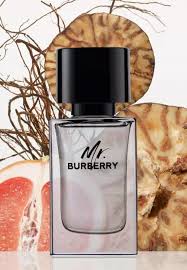 Burberry Mr. Burberry EDP For Men 100ml